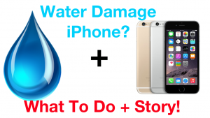 Dropped iPhone in Water